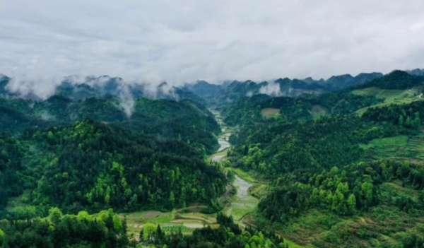 1673922660127068.jpg 1.jpg